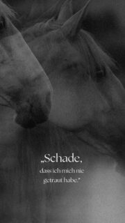 Lass uns dich und dein Pferd festhalten – genauso wie ihr heute seid. Vielleicht nicht perfekt, aber ECHT ♡

Denn genau das sind die Erinnerungen, die später zählen ♡

#susannebrunnmeierfotografie #achtsamepferdefotografie #pferdefotografiebayern #pferdefotografie