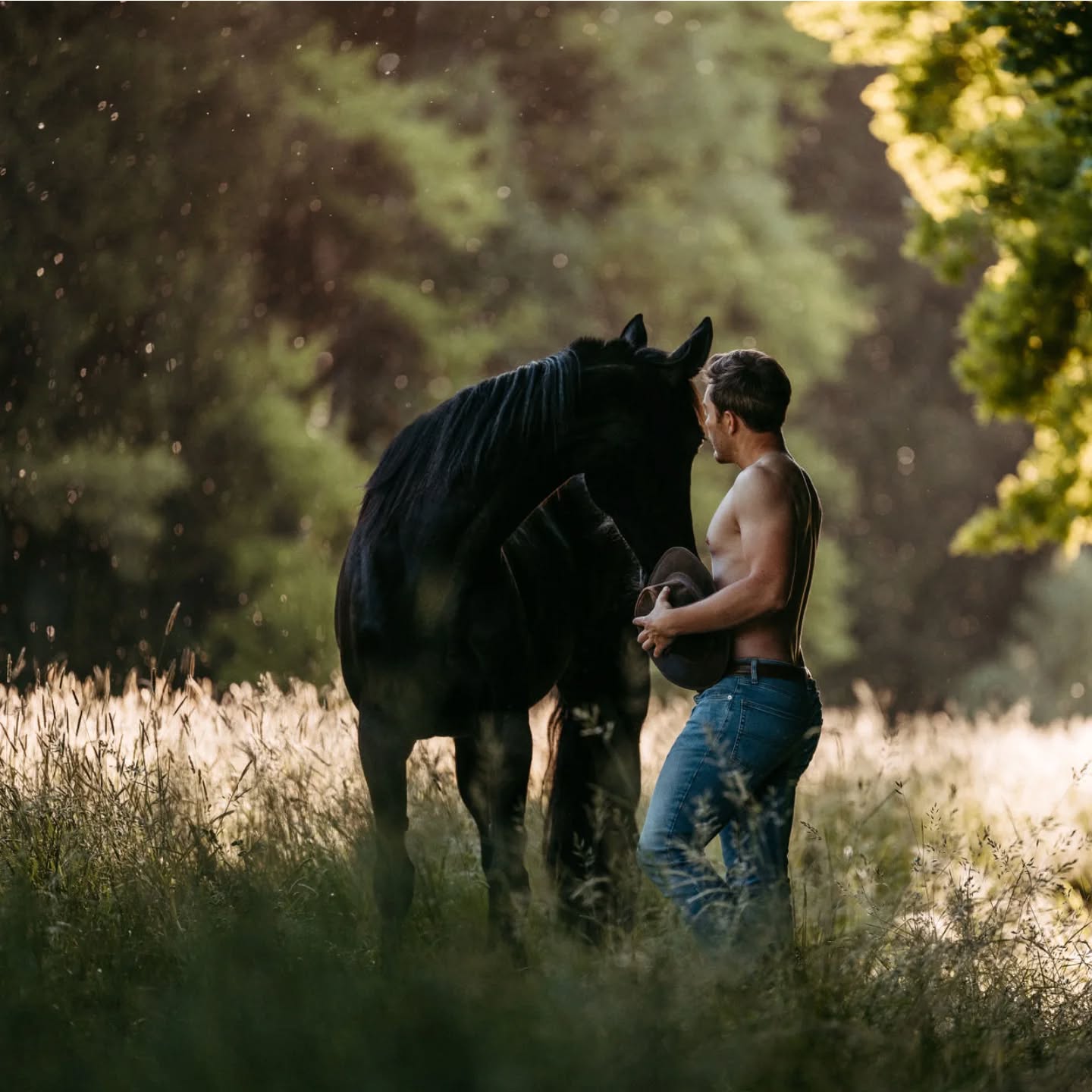 Chris & Waldblume Venus ♡

_____________________________________
#susannebrunnmeierfotografie #pferdefotografiebayern #pferdefotografie #fotoshootingpferd #pferdeportrait #natürlicheslicht