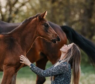 #firstkisses ♡

_____________________________________
#susannebrunnmeierfotografie #fohlen #sportpferde #warmblüter #nachwuchs #pferdefamilie #pferdefotografiebayern #pferdefotografie #fotoshootingpferd #pferdeportrait