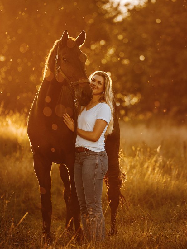 Preise Pferdefotografie
