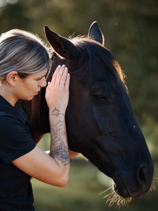 DSC_2365-Bearbeitet web