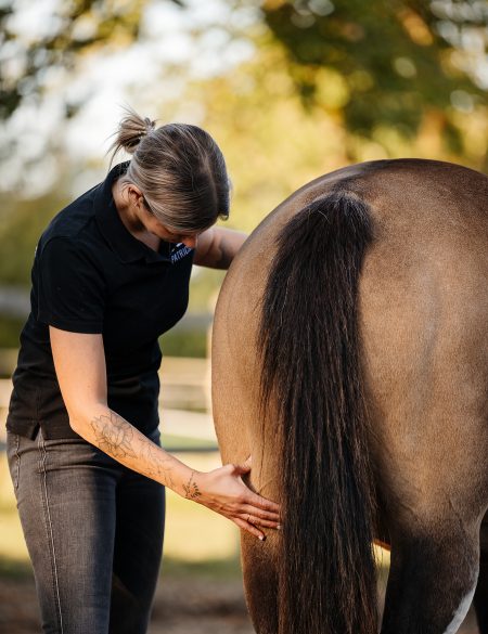Fotoshooting Pferdeosteopath B2B